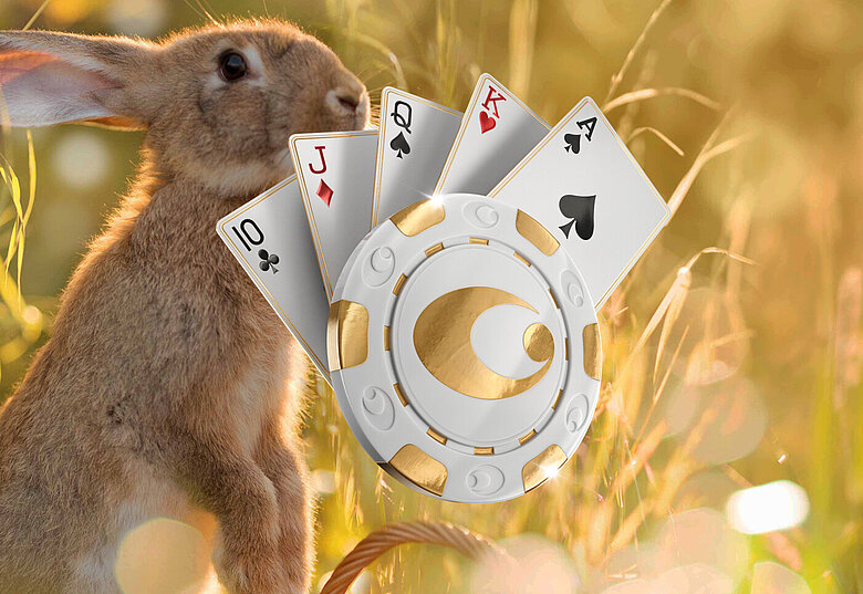 Feldhase vor Casinos Austria Poker Logo