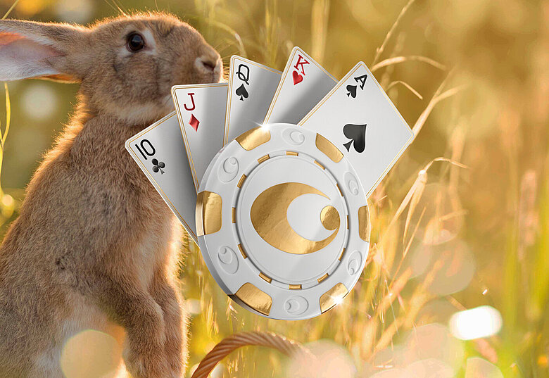 Feldhase vor Casinos Austria Poker Logo