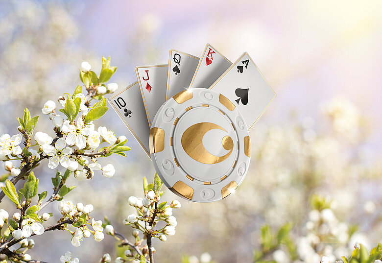 Casino Bregenz Spring Poker Festival Bild 