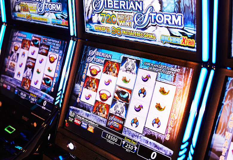 Automaten Reihe Siberian Tiger 