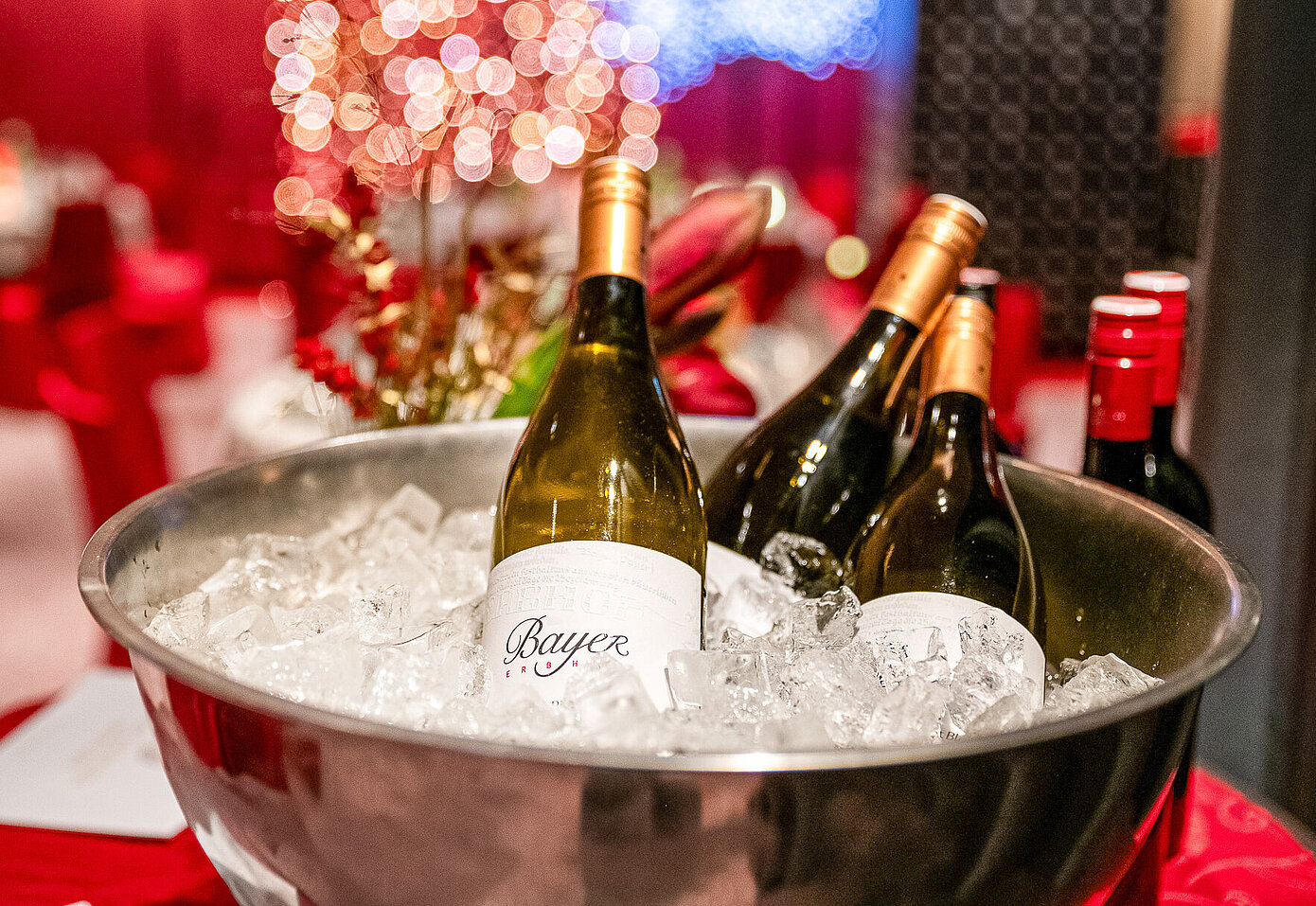 Casineum Innsbruck Weinkühler