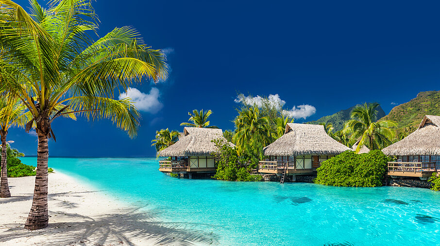 Wasservillen mit Palmen und türkisblauem Meer
