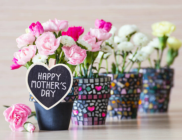 Muttertagsbild mit Blumentöpfen