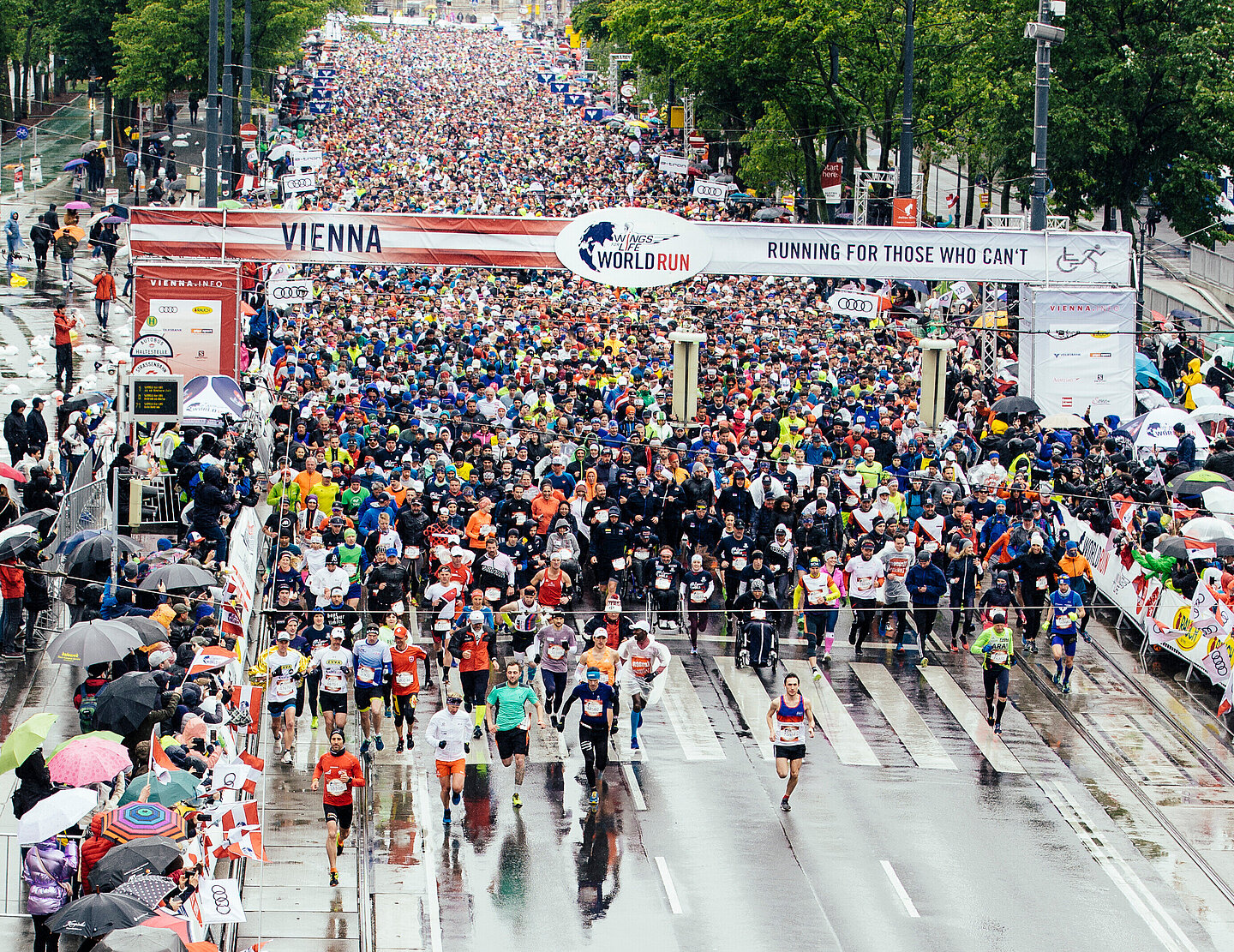 Wings for Life World Run Start